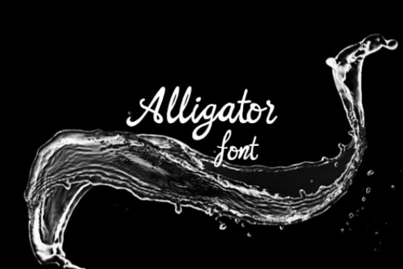 Alligator Font Review: Modern Script for Web Design