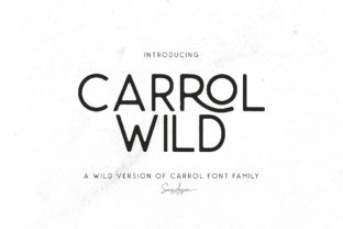 Carrol Wild Font: Modern Branding for Small Business
