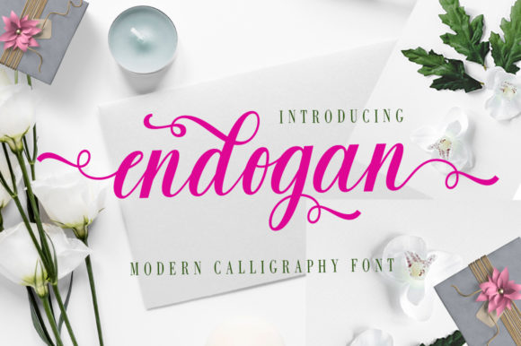 Endogan Font: A Friendly Typeface for Branding