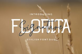 Florita Duo: A Versatile Display Font for Web Design