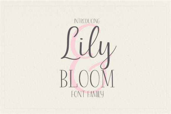 Lily Bloom Font: A Real Branding Case Study
