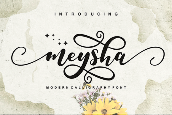 Meysha Font: Adding Friendly Script to Brand Identity