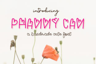 Phanny Can Font: Adorable Script for Handmade Labels