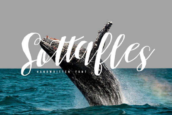 Sottafles Font: A Web Designer’s Layout Review