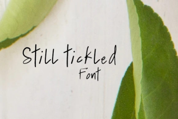 Still Tickled Font: A Web Designer’s Layout Test