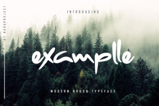 Testing the Examplle Font for Playful Brand Identity