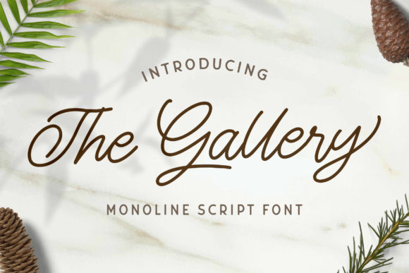 The Gallery Font Review: Elevating Campaign Visuals
