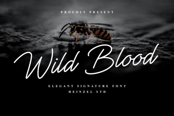 Wild Blood Font: A Web Designer’s Layout Review