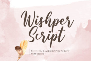 Wishper Script Font: A Designer’s Branding Test